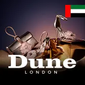 ديون لندن الإمارات