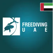 فري دايفينج